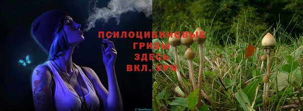 ALPHA-PVP Арсеньев